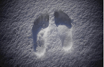 Feet in the snow, originally uploaded to Flickr by BuzzFarmers.
