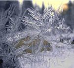 Snowflake, originally uploaded to Flickr by JJSchad.