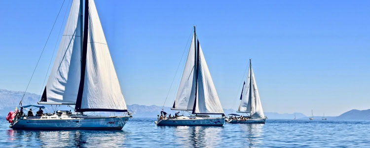 sailboats on the water
