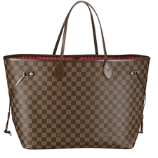 Louis Vuitton Neverfull Vs Coach Reversible Tote #louisvuitton#coach 