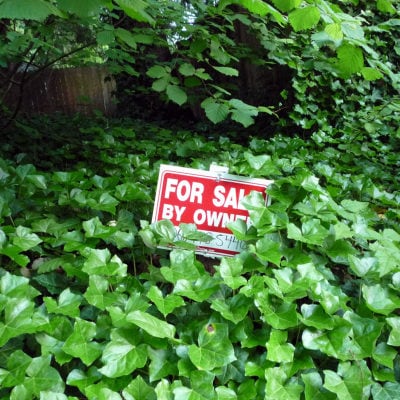 red "For sale by owner" sign nestled among green leaves