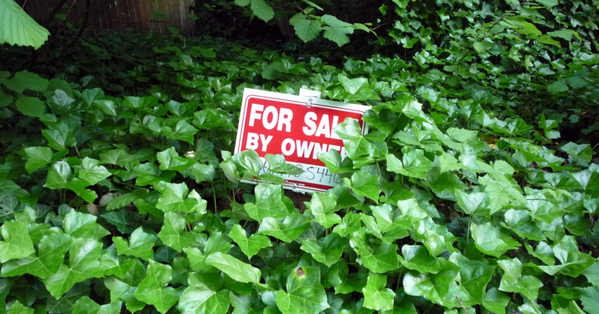 red "For sale by owner" sign nestled among green leaves