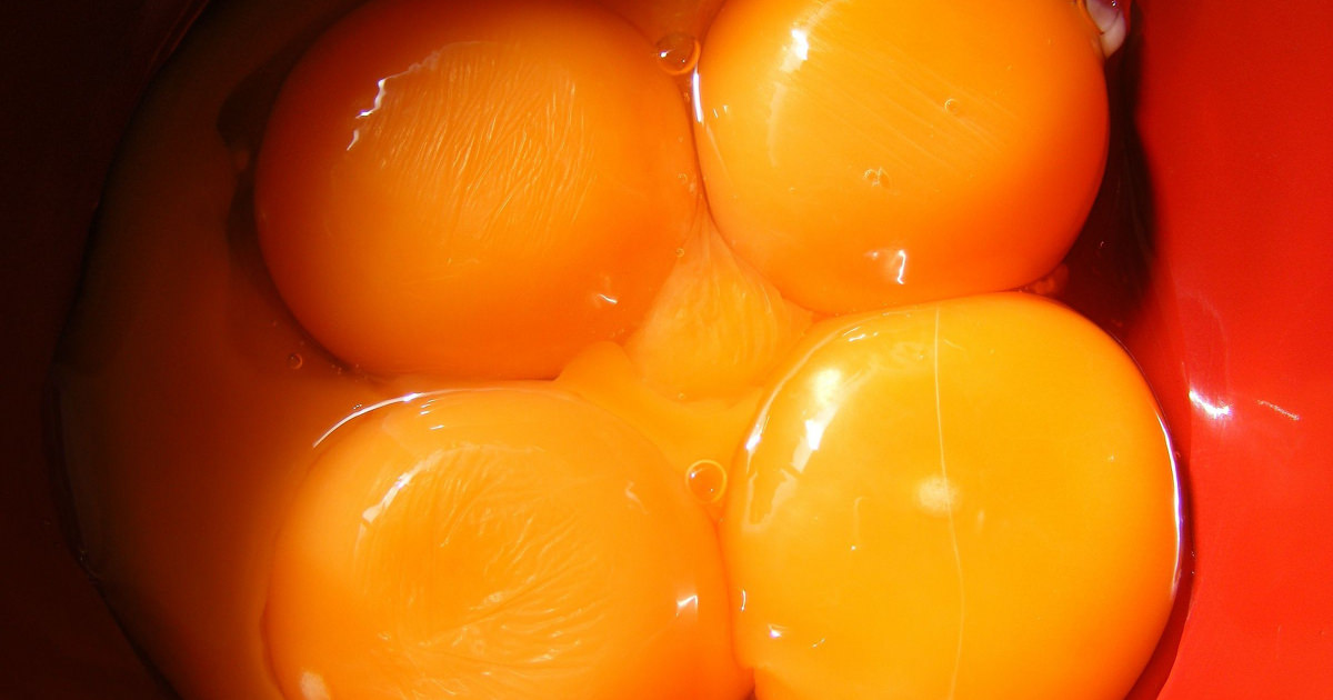 stock photo of egg yolks