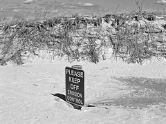 Erosion Control? originally uploaded to Flickr by muffinman71xx.