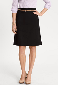 Modern Sleek a-line skirt