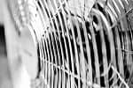 Fan, originally uploaded to Flickr by Ryk Neethling.