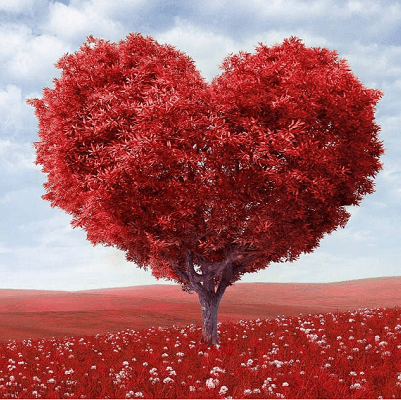 fantastical image of a heart-shaped tree in a red field