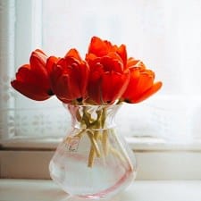 vase of red flowers to give your administrative assistant for administrative assistants day!