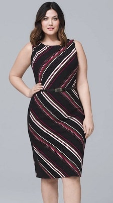 https://corporette.com/wp-content/uploads/2018/05/stripey-sheath-dress-in-plus-and-regular-sizes.jpg