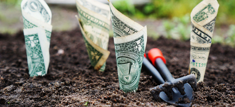 dollar bills being planted in dirt