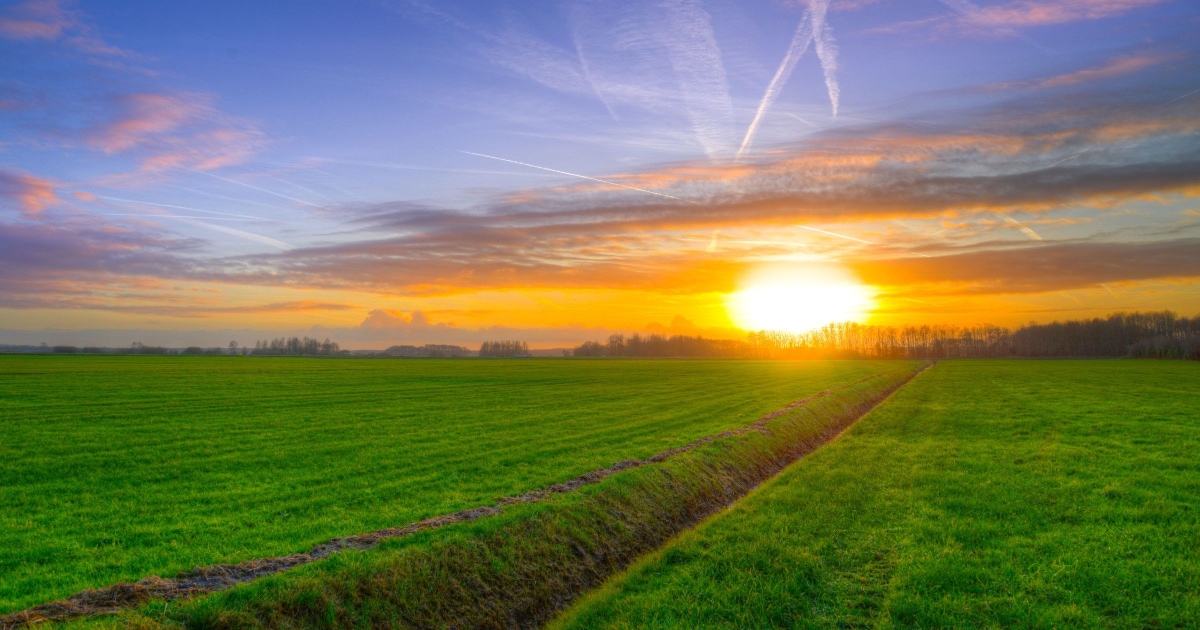 end-of-year career goals the horizon, sunset over fields