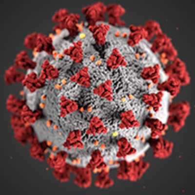 Has Your Job Been Affected by Coronavirus?