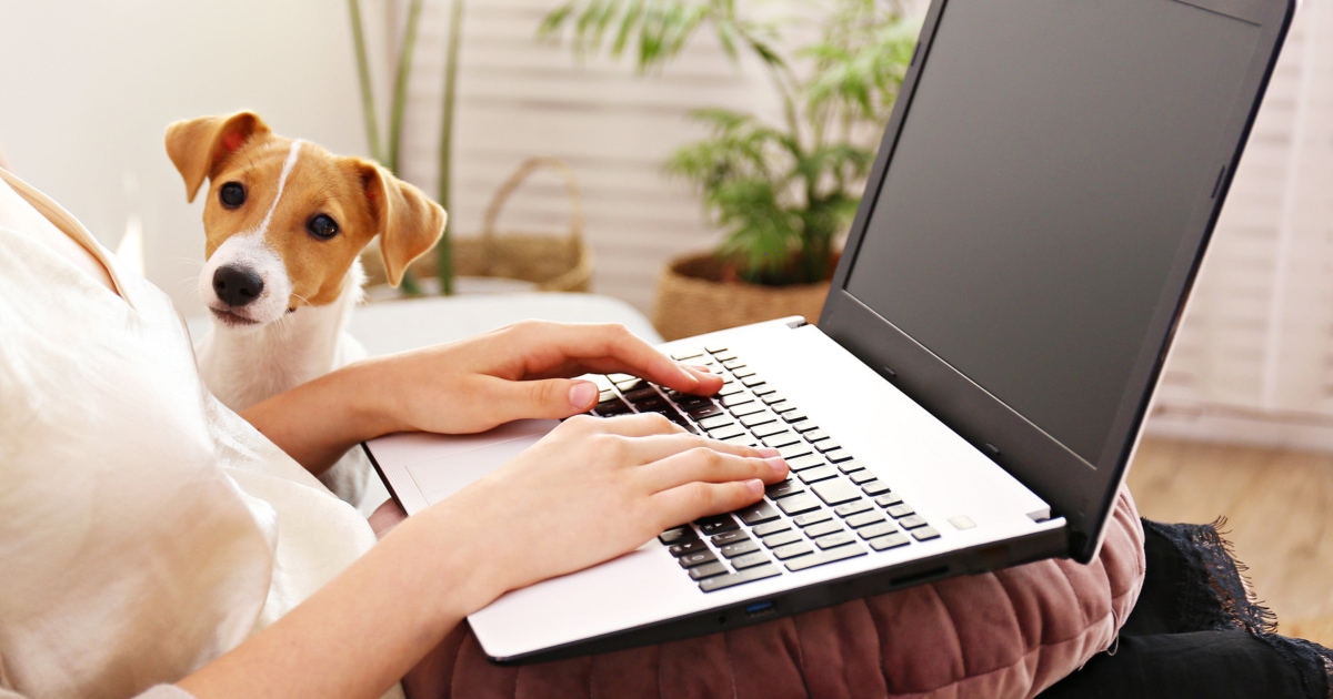 professional young woman typing on laptop while dog watches