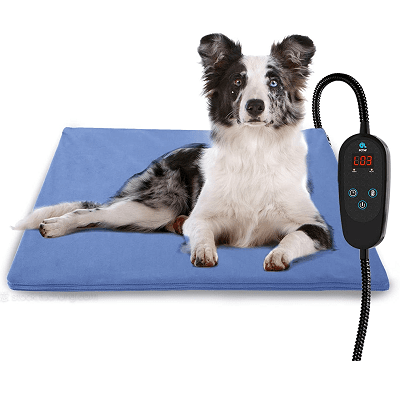 A white, black, and gray dog on a blue heating pad
