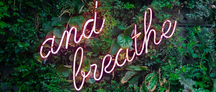 pink neon lighted sign against plant wall; sign reads "and breathe"