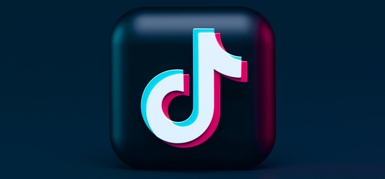 Tiktok logo for social media