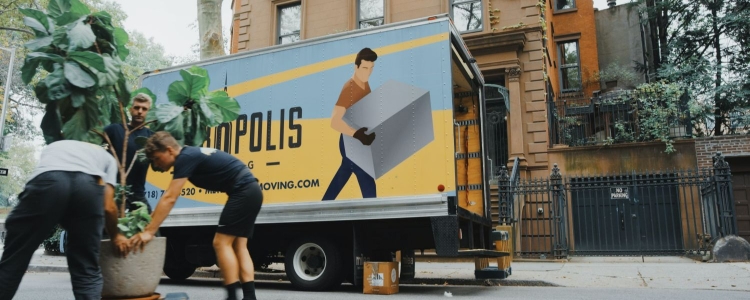 a moving truck is parked in front of a brownstone; three men are moving a large potted plant in the foreground. 