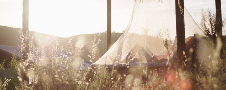 woman lies under mosquito netting