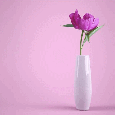 slim tall pink flower in a white vase against a pinkish background