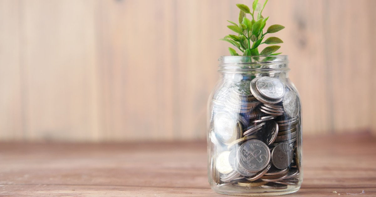 jar of coins with a plant growing out of it; there is a wooden wall in the background