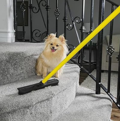 A yellow fur remover broom next to a Pomeranian on gray carpeted stairs, with a black metal railing