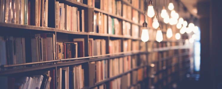 full bookshelves illuminated by string lights; some of these might be formative books that made an impact