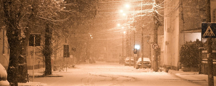 dark winter scene with snow coming down