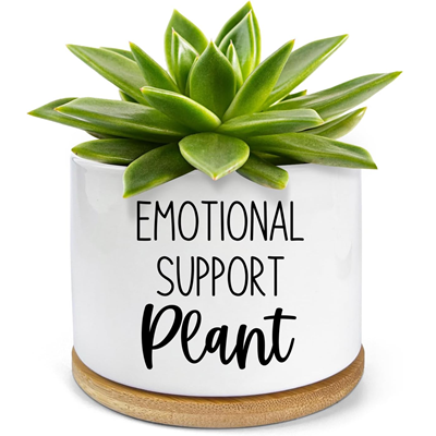 a great white elephant gift idea: low maintenance plants like this cactus; the pot reads "Emotional Support Plant"