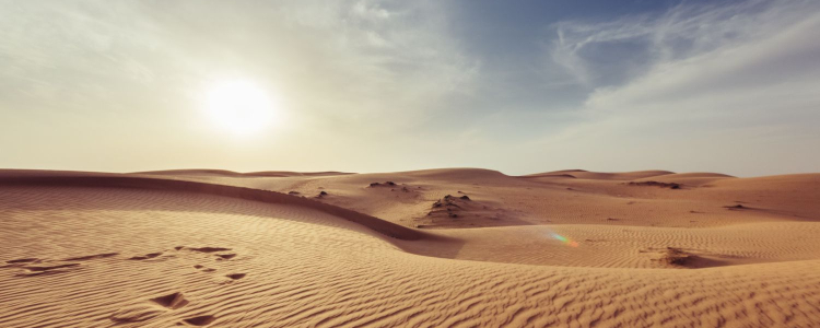 sun over a desert; it's what the office may feel like during a heat wave