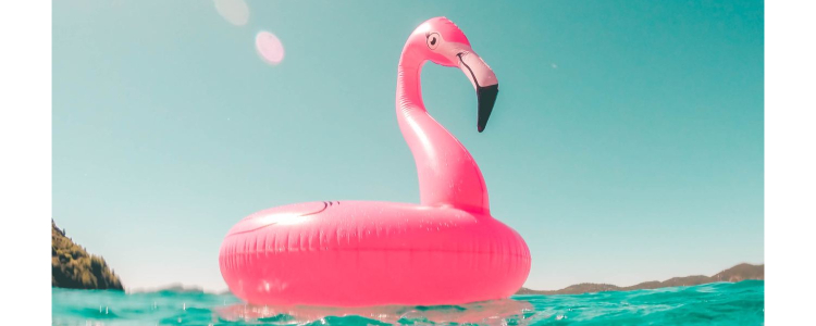 pink flamingo inflatable floats on a blue body of water (lake?)