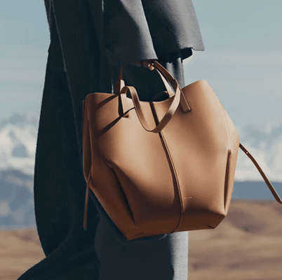 large tote with unusual shape; woman is holding it while wearing a suit while apparently mountain climbing